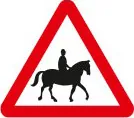 Accompanied horses or ponies