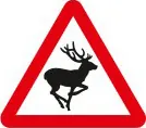 Wild animals