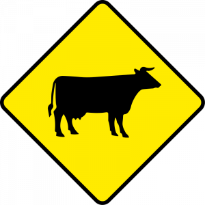 Cattle and farm animals