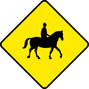 Accompanied horses and ponies